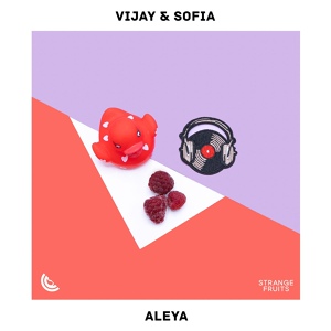 Обложка для Vijay, Sofia Zlatko - Aleya