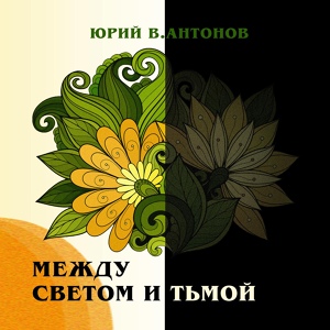 Обложка для Юрий В.Антонов - Стены