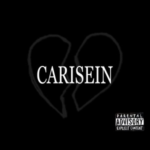 Обложка для carisein - 2023