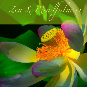 Обложка для Zen Music Garden - Reiki Healing