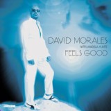 Обложка для David Morales feat. Angela Hunte - Feels Good