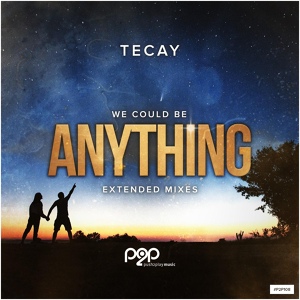 Обложка для TeCay - Anything