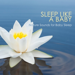 Обложка для Sounds of Nature White Noise for Baby Sleep - White Noise for Infants