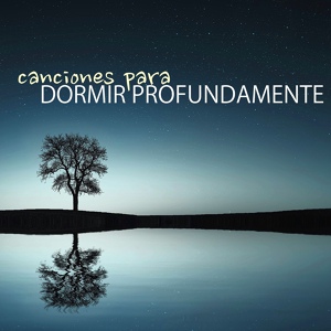 Обложка для Dormir Profundamente - Musica para Meditar