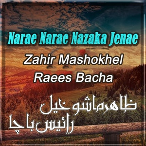 Обложка для Zahir Mashokhel, Raees Bacha - Ma Yao Swal Te Kao