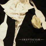 Обложка для Skepticism - The Road