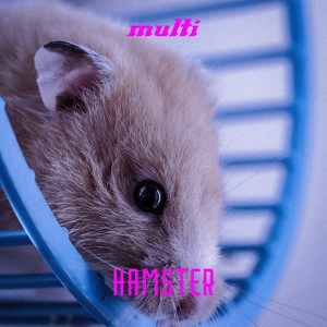 Обложка для multi - Hamster