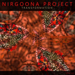 Обложка для Nirgoona Project - Rhythm Of The Earth.