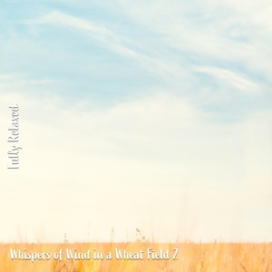 Обложка для Steve Brassel - Whispers of Wind in a Wheat Field, Pt. 12