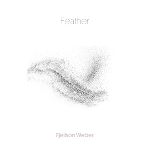 Обложка для Fjellson Weber - Feather