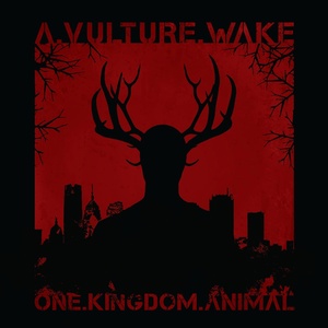 Обложка для A Vulture Wake - Lost Cause Of The Year