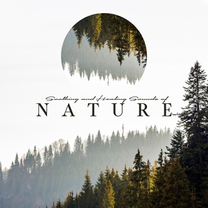Обложка для Natural Healing Music Zone - Nature Sounds