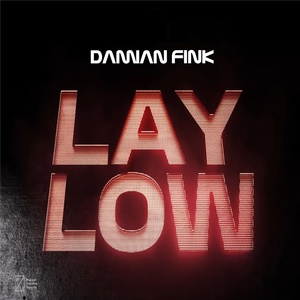 Обложка для Damian Fink - Lay Low