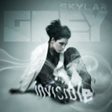 Обложка для Skylar Grey - Invisible