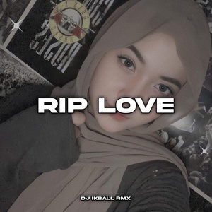Обложка для DJ IKBALL RMX - Rip Love