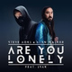 Обложка для Steve Aoki, Alan Walker feat. ISÁK - Are You Lonely