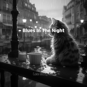 Обложка для Lee sang gul - Blues In The Night