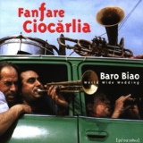 Обложка для Fanfare Ciocarlia - Baro Biao