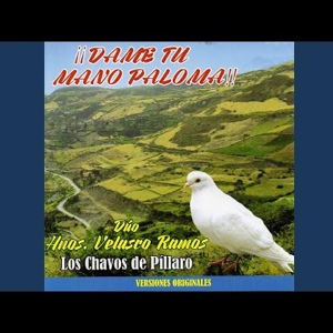 Обложка для Los Chavos de Pillaro - Golondrina Negra