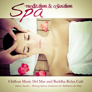 Обложка для Spa - Spa (Music for Massage, Relax, Yoga, Deep Sleep and Well-Being)