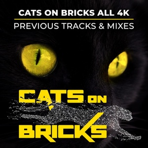 Обложка для Cats On Bricks, Prinz M. - Feel Good!