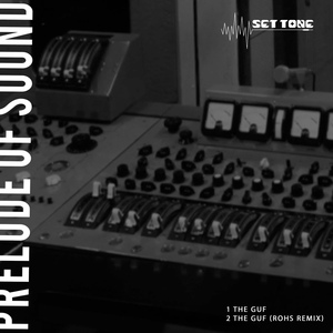 Обложка для Prelude Of Sound - The Guf