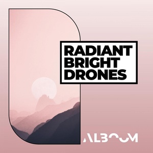 Обложка для Alboom - Life Of The Drone