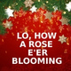 Обложка для Lo, How A Rose E'er Blooming Band, Lo, How A Rose E'er Blooming - Lo, How A Rose E'er Blooming