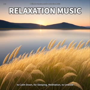 Обложка для Wellness, Instrumental, Relaxation Music - Relaxation Music, Pt. 4