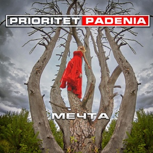 Обложка для Prioritet Padenia - Когда придет это день