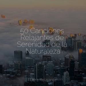 Обложка для Meditación, Canciones Infantiles de Niños, Cascada de Lluvia - Flora Pacífica