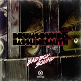 Обложка для Drumsound & Bassline Smith - Bad Boy Sound