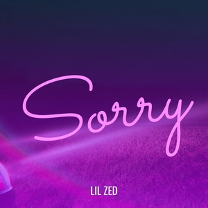 Обложка для Lil Zed - Sorry