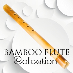 Обложка для Flute Music Group - Divine Wisdom