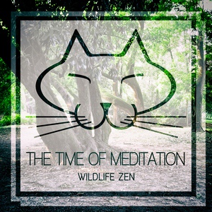 Обложка для The Time Of Meditation - Time Arrow