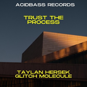 Обложка для Taylan Hersek feat. Glitch Molecule - Trust the Process