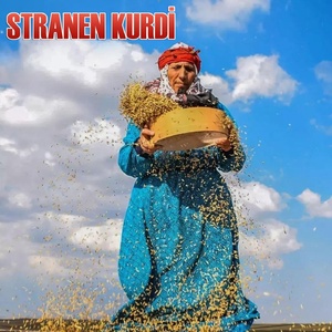 Обложка для Stranen Kürdi - Xebroşk