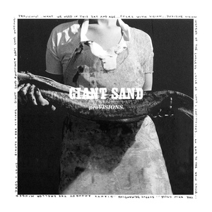 Обложка для Giant Sand - Out There