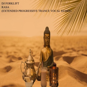 Обложка для DJ FORKLIFT - RASA