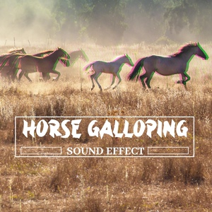 Обложка для Pro Sound Effects Library - Horse Sound Effect Pt. 6