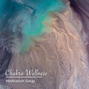 Обложка для Wellness, Chakra Meditation Specialists, Relaxation Sleep Meditation - The Beginning