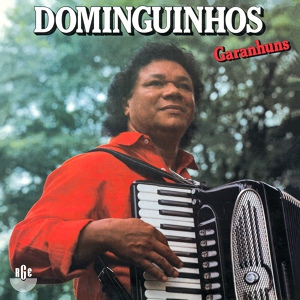 Обложка для Dominguinhos - As Moças de Angical
