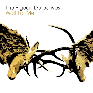 Обложка для The Pigeon Detectives - Dick'ead