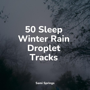Обложка для Rain, Massage, Spa Isochronic Tones Lab - Floods of Rain