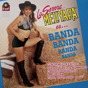 Обложка для La Sonora Meliyara - La Distancia