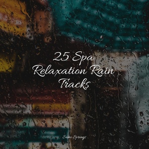 Обложка для Oasis de Détente et Relaxation, Binaural Beats Brain Waves Isochronic Tones Brain Wave Entertainment, Monarch Baby Lullaby Institute - Splish Splash Rains