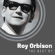 Обложка для Roy Orbison - You're My Baby