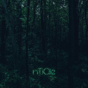 Обложка для nTiCle - forest pulse