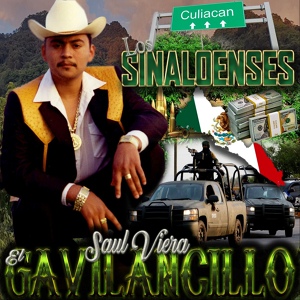 Обложка для Saul Viera El Gavilancillo - 20 Mujeres