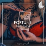 Обложка для Emre Kabak - Fortune